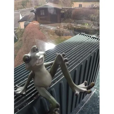 Uitzicht Op Droomlocatie